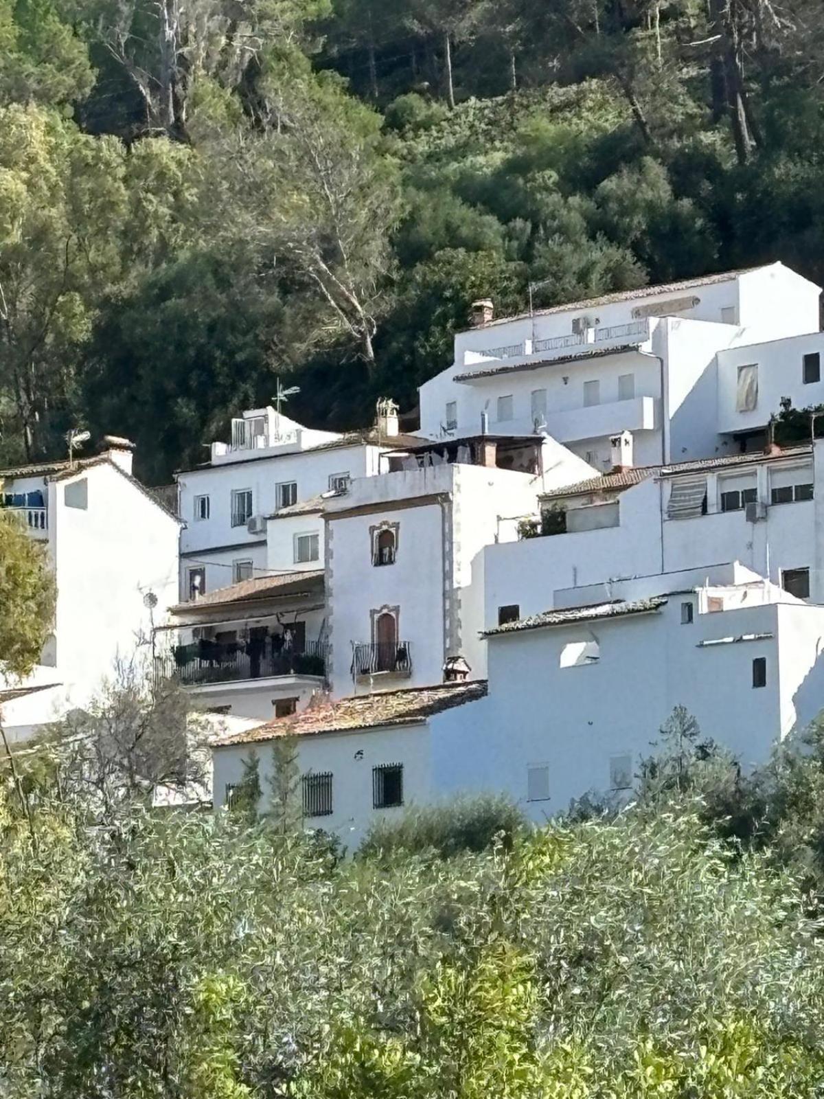 El Rincon De Las Higueras El Bosque Exterior photo